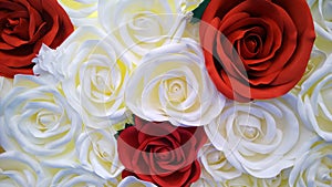 Beautiful bright red rose on white and cream shade roses background. Inspiration. Love concept of aesthetics. Floristic decor. Car