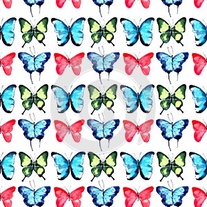 Beautiful bright sophisticated magnificent wonderful tender gentle spring tropical green red blue purple butterflies pattern