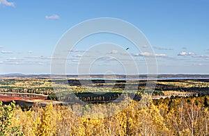 Beautiful bright view of the autumn forest in yellow foliage, lake and a couple of flying birds of ravens in the blue sky, fall