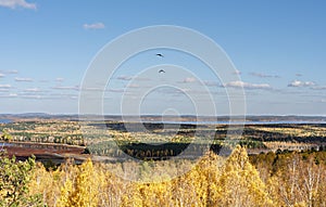 Beautiful bright view of the autumn forest in yellow foliage, lake and a couple of flying birds of ravens in the blue sky, fall