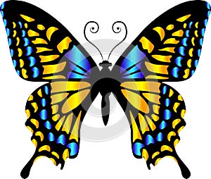 Beautiful bright yellow  butterfly. Vector illustration isolated