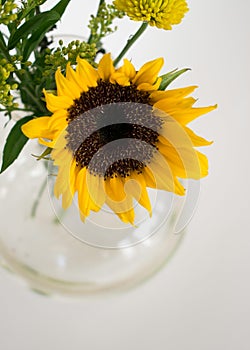 Bright Yellow Sunflower in Vase