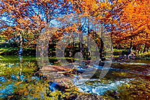 Beautiful Brilliant Fall Foliage on the Guadalupe River, Texas.