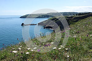 Beautiful Brixham harbour landscape in the middle of a hot bright summer