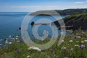 Beautiful Brixham landscape from Berry Head Brixham Devon looking out to sea
