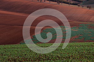 Beautiful brown Czech Moravian fields at autumn