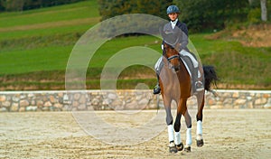 Beautiful brown gelding doing travers during an English dressage competition.