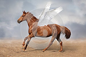 Beautiful brown pegasus horse galloping wild on sky