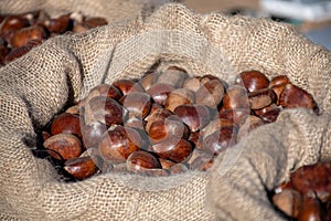 Beautiful brown ripe caldarroste or chestnuts in a jute sack or bag