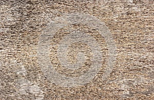 Beautiful brown wood surface texture close up background natural wood patterns