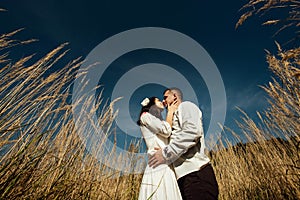 Beautiful brunette bride and elegant stylish groom with true happy feelings kissing in a sunny field, life concept