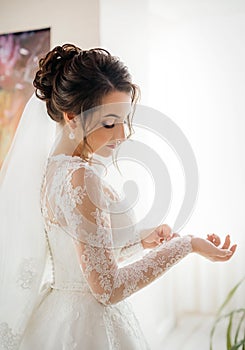 Beautiful brunette bride with stylish make-up