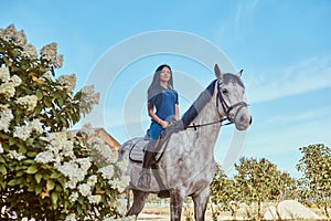 Beautiful brunette female riding a dapple gray horse near lilac bushes in garden.