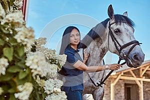 Beautiful brunette girl stroking her gray horse near lilac bushes in garden.