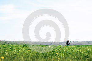 Beautiful brunette girl in windy green field, sunny springtime,