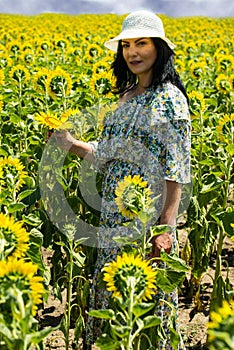 Beautiful brunette woman in sunflowers field
