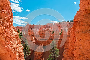 Beautiful Bryce Canyon National Park in Utah, USA. Orange rocks, blue sky. Giant natural amphitheaters and hoodoos formations.