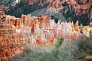 Beautiful Bryce Canyon and Red Stone