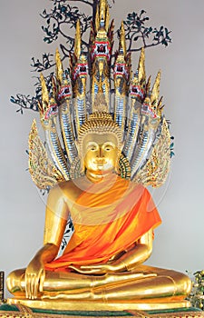 Beautiful Buddha Statue with serpents