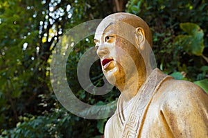 Beautiful buddha statue unique close shot left profile, low angle