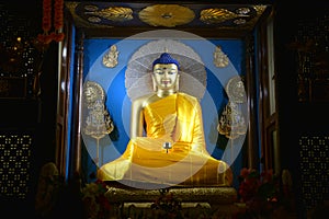 Beautiful Buddha statues in Mahabodhi Stupa,India
