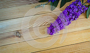 Beautiful buddleia shrub flower on wooden background. photo