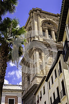 Beautiful building and palm trees against the blue sky in the city of Granada, Spain