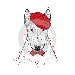 Beautiful bull terrier in a cap. Fashion & Style. Clothes and accessories. Vector illustration.