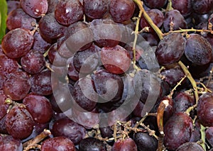 Beautiful Bunch of Fresh Red Grapes at a Farmers Market