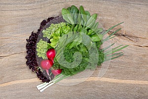 Beautiful bunch of greenery and radishes on wooden background.