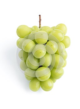 Beautiful a bunch of Shine Muscat green grape isolated on white background