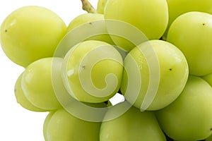 Beautiful a bunch of Shine Muscat green grape isolated on white background