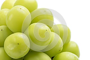 Beautiful a bunch of Shine Muscat green grape isolated on white background