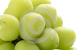 Beautiful a bunch of Shine Muscat green grape isolated on white background