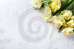 Beautiful bunch of tulip flowers on white table top view. Flat lay style. Composition for Woman, Mother day