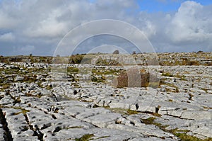 Beautiful Burren landscape with a field of stones