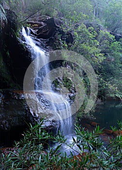 Beautiful bushland waterfall in Blue Mountains