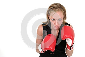 Beautiful Business Woman In Boxing Gloves 8b