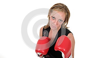 Beautiful Business Woman In Boxing Gloves 9b