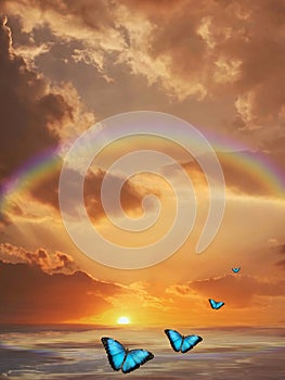 Beautiful butterflies flying isolated in color background