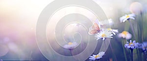 Beautiful Butterfly and abstract background with spring blooming flowers spring blossoms landscape