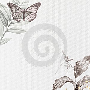 Beautiful butterfly and botanical with background