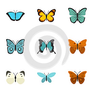 Beautiful butterfly icons set, flat style