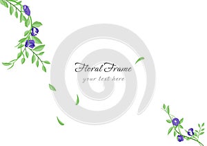 Beautiful butterfly pea floral frame background ep02