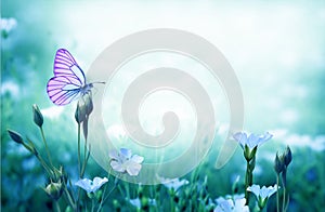 Beautiful  butterfly sitting on flower bed. Spring colored nature background.A purple flax flower blooms in a summer meadow.