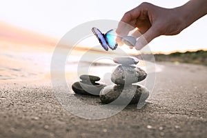 Beautiful butterfly and woman stacking stones on sand near sea at sunset, closeup. Zen concept