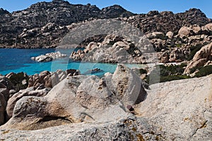 beautiful Cala Coticcio on the Italian island of Caprera