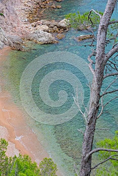 Beautiful Cala Futadera beach is one of the few remaining natural unspoiled beaches on the Costa Brava, Catalonia, Spain