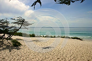 Beautiful California Beach