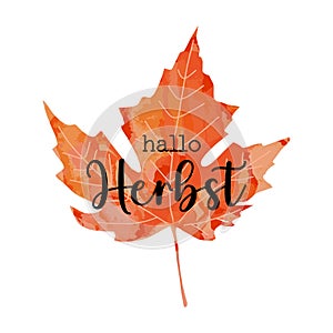 Beautiful calligraphy lettering text - Hallo Herbst - German translation - Hello Autumn Fall. Bright orange red